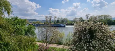 Naturlandschaft in der Nähe der Ferienwohnung
