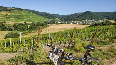Naturlandschaft in der Nähe der Ferienwohnung