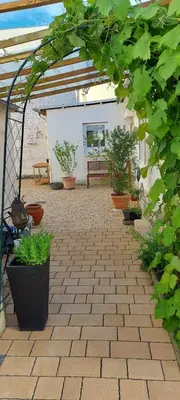 Ein Garten an der Unterkunft Ferienhaus Cornelia