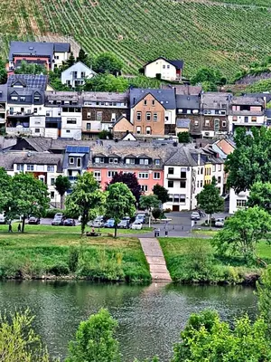 Naturlandschaft in der Nähe der Ferienwohnung