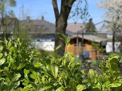 Ein Garten an der Unterkunft Altes Zehnthaus Geierlay