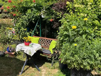 Ein Garten an der Unterkunft Landhaus Zum Langenstein