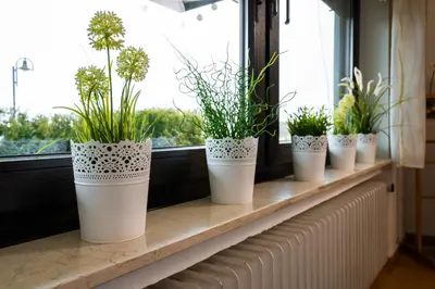 Grundriss der Unterkunft Yn e Homeie