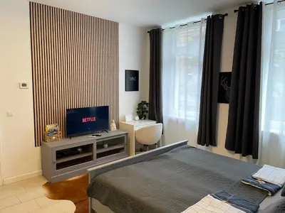 TV/Unterhaltungsangebot in der Unterkunft Schönes Appartment im Zentrum von Koblenz II