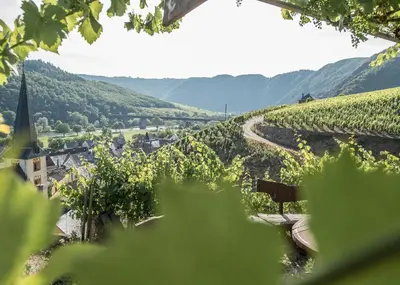 Naturlandschaft in der Nähe der Ferienwohnung
