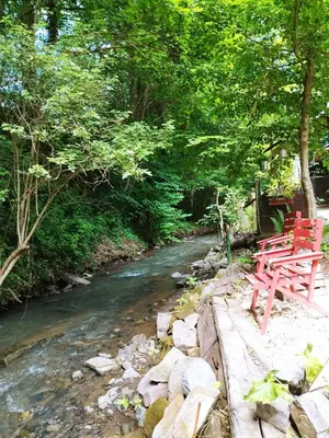 Naturlandschaft in der Nähe des Bed & Breakfasts