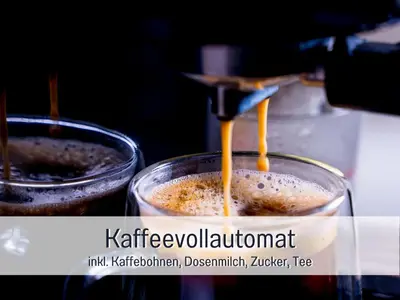 Grundriss der Unterkunft Natur-Chalet zum Nationalpark Franz inkl. E-Auto