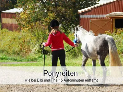 Tiere im Ferienhaus oder in der Nähe
