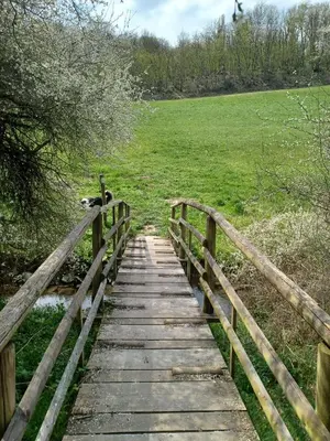 Naturlandschaft in der Nähe der Ferienwohnung