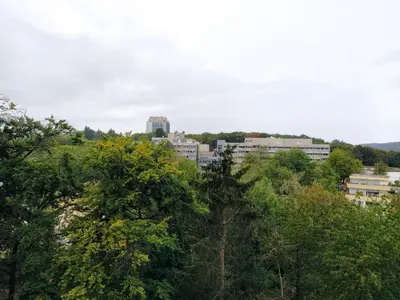 Naturlandschaft in der Nähe der Ferienwohnung