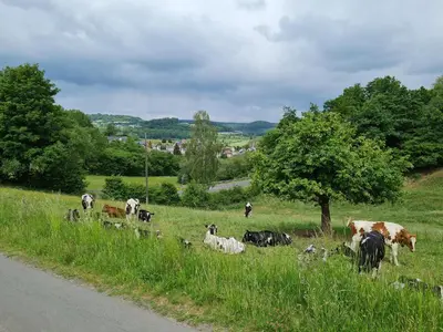 Naturlandschaft in der Nähe der Ferienwohnung