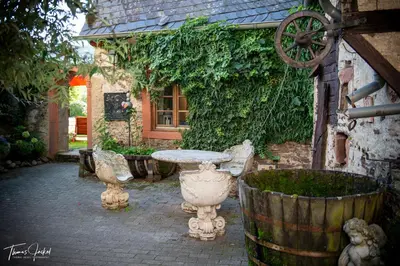 Ein Garten an der Unterkunft Echternacher Hof - Moselloft