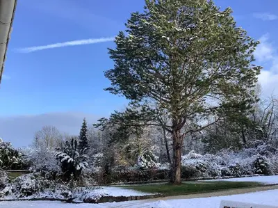 Ferienwohnung Apartment Doppelzimmer in der Villa Naturpark Rheinblick, ruhig, Aussicht, Pool im Winter