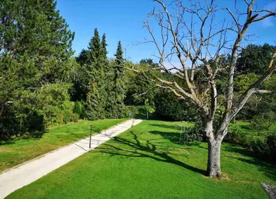 Ein Garten an der Unterkunft Ferienwohnung Apartment Doppelzimmer in der Villa Naturpark Rheinblick, ruhig, Aussicht, Pool