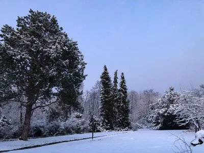 Über den Dächern von Koblenz - Aussichts-Wohnung Naturpark Rheinblick, ruhig, zentrumsnah, Sport-Pool im Winter