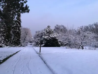 Über den Dächern von Koblenz - Aussichts-Wohnung Naturpark Rheinblick, ruhig, zentrumsnah, Sport-Pool im Winter