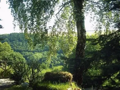 Naturlandschaft in der Nähe der Ferienwohnung