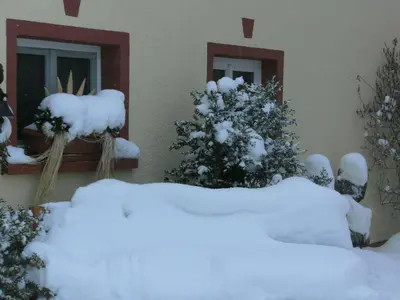 Terrace Apartment by the Zoo im Winter