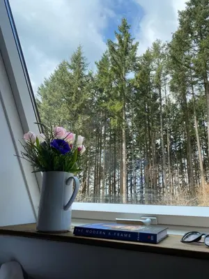 Naturlandschaft in der Nähe der Ferienwohnung