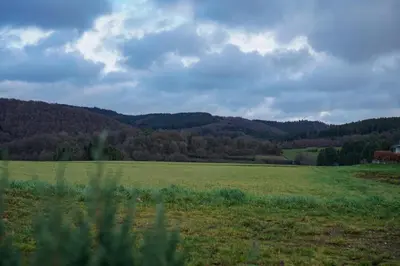 Naturlandschaft in der Nähe der Ferienwohnung
