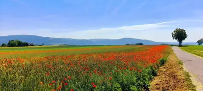 Naturlandschaft in der Nähe des Ferienhauses