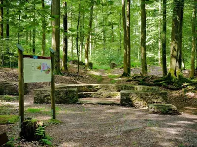 Naturlandschaft in der Nähe der Ferienwohnung