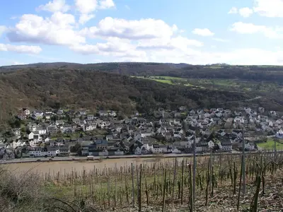 Naturlandschaft in der Nähe der Ferienwohnung