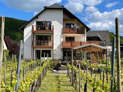 Ein Garten an der Unterkunft Haus Schatzgarten