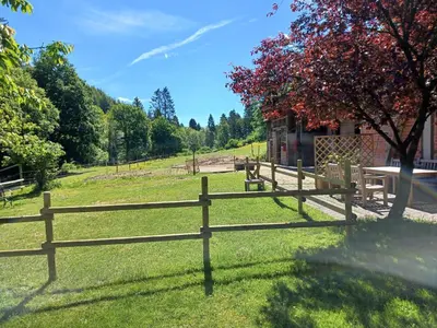 Ein Garten an der Unterkunft Lenzenhaus