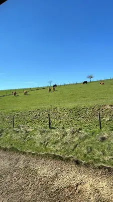 Tiere im Ferienhaus oder in der Nähe
