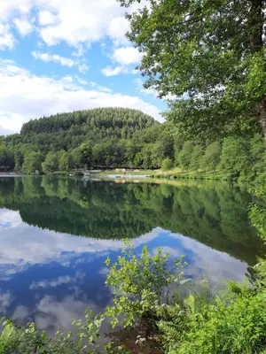 Naturlandschaft in der Nähe der Ferienwohnung