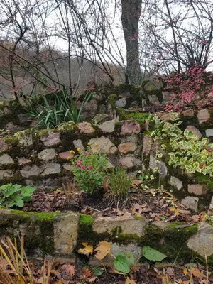 Ein Garten an der Unterkunft Ferienhaus Wald&Wiese