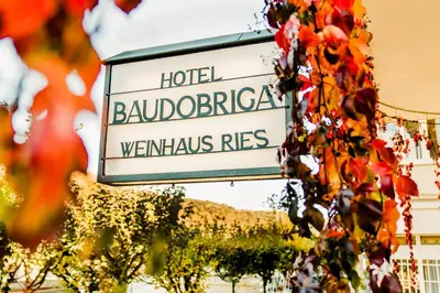 Ein Zertifikat, Auszeichnung, Logo oder anderes Dokument, das in der Unterkunft Baudobriga Rheinhotel ausgestellt ist