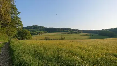 Naturlandschaft in der Nähe der Ferienwohnung