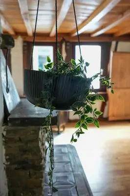 Ein Sitzbereich in der Unterkunft Charmante Fachwerk Wohnung mit Terrasse in der Altstadt