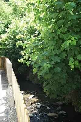 Naturlandschaft in der Nähe der Ferienwohnung