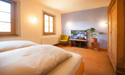 TV/Unterhaltungsangebot in der Unterkunft Haus in Spay an der Mosel mit Sauna